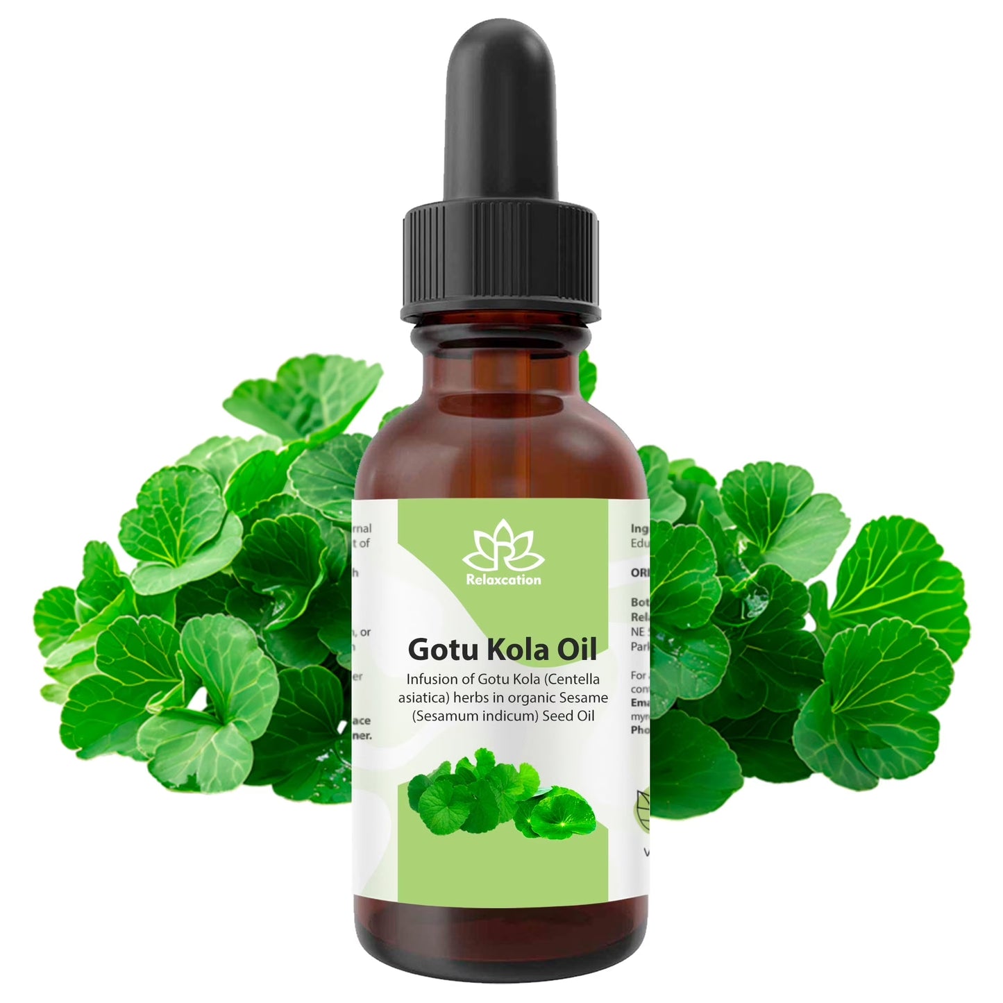 Gotu Kola (Centella Asiatica) Leaf Infused Sesame Oil Ayurvedic Herbal Hair & Skin Oil – Cold-Pressed, Unrefined, Plant-Based (0.5 Fl Oz)
